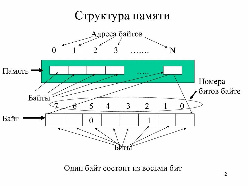 Состоит из восьми бит. Структура памяти. адресация памяти. структура байта. строение битов.
