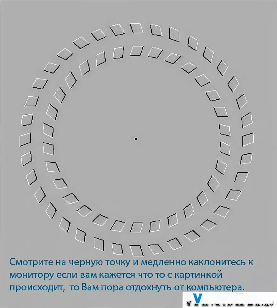 Белые точки на листьях. Исчезающие круги иллюзия. Обман зрения с точкой в центре. Точка медленно. Оптическая иллюзия с красной точкой.