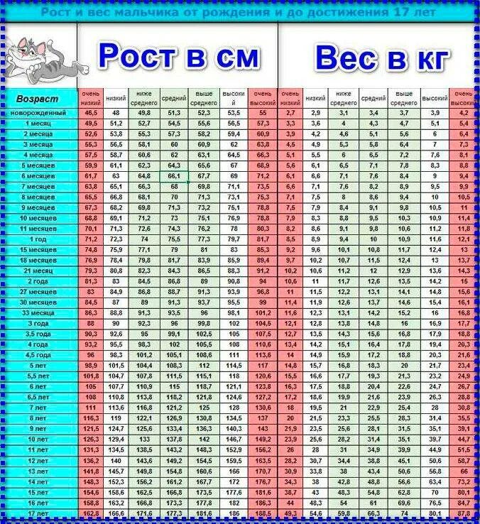 Норма роста и развития