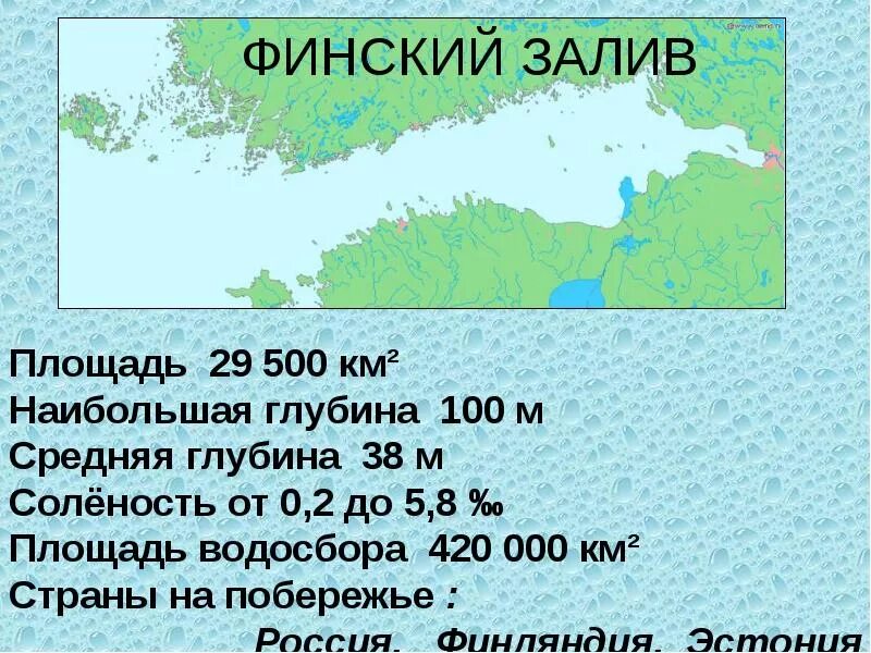 Водные богатства ленинградской области. Соленость воды в финском заливе. Финский залив презентация. Территория финского залива.