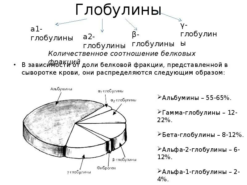 Глобулин это. Глобулины презентация. Глобулины характеристика. Глобулин формула химическая. Глобулины сыворотки крови.