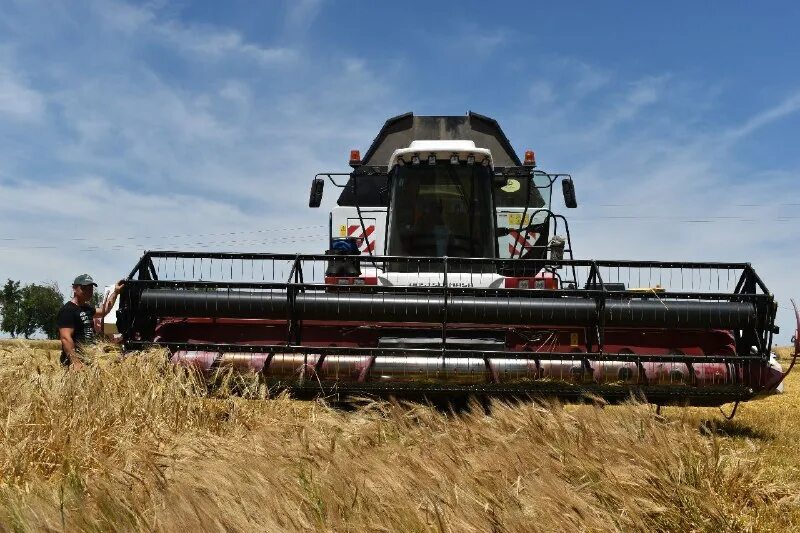 Агропромышленный комплекс кубани. Краснодарский край 20 век сельское хозяйство. Работа сельское хозяйство краснодарский край. Сельское хозяйство тимашевского района краснодарского края. Работа сельское хозяйство краснодарский край.