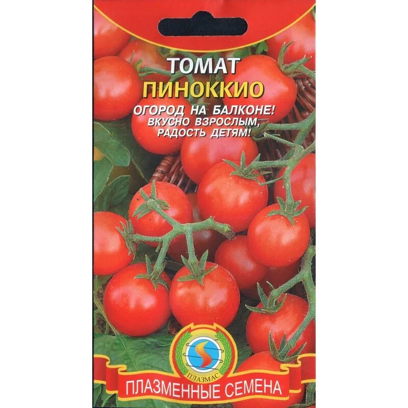 Помидоры пиноккио описание. Черри сорт Пиноккио. Томат штамбовый Пиноккио. Сорт помидор Пиноккио. Помидоры черри сорт Пиноккио.