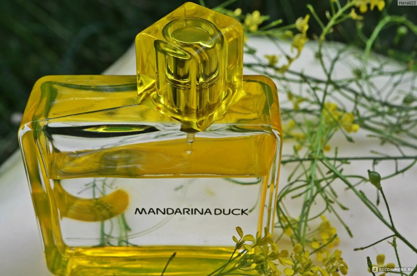 Mandarina Duck желтые духи. Мандарина дак духи желтые. Туалетная вода мандарина дак женские. Туалетная вода мандарин дак летуаль.