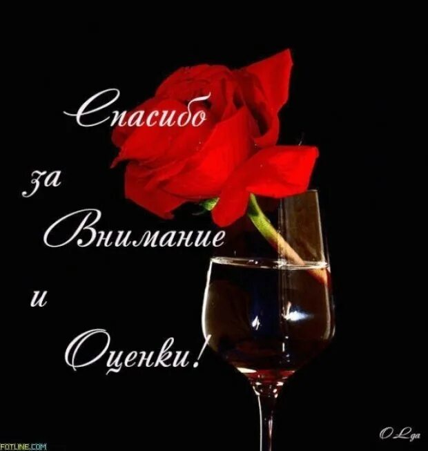Спасибо за вечер мужчине. Благодарю за оценку фото. спасибо за оценки картинки. спасибо за оценку фото картинки. открытки с благодарностью за вечер.