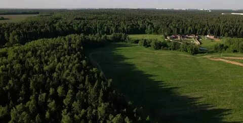 Земельный участок бор
