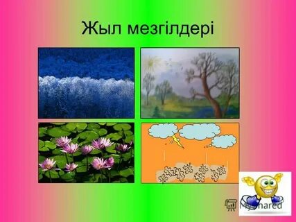 Жыл мезгілдері