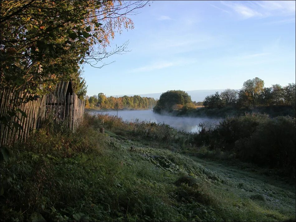 Дунаево новгородской области. Новгородская область деревня Витебское. Деревня Шелонь Новгородской области. Деревня Черницы Новгородская область. Деревня Витебско Солецкий район.