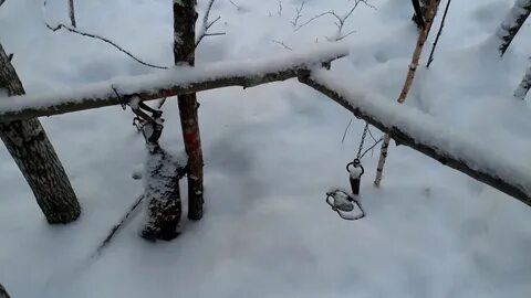 Капкан на соболя