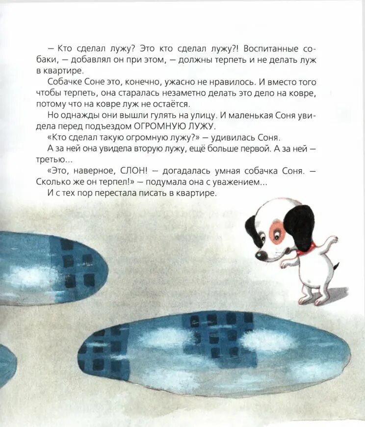 Сказка про собачку соню читать. Усачёв, андрей алексеевич. умная и знаменитая собачка соня. усачев а. &quot;всё об умной и знаменитой собачке соне&quot;. умная собачка соня и лужа. рассказы про умную собачку соню.