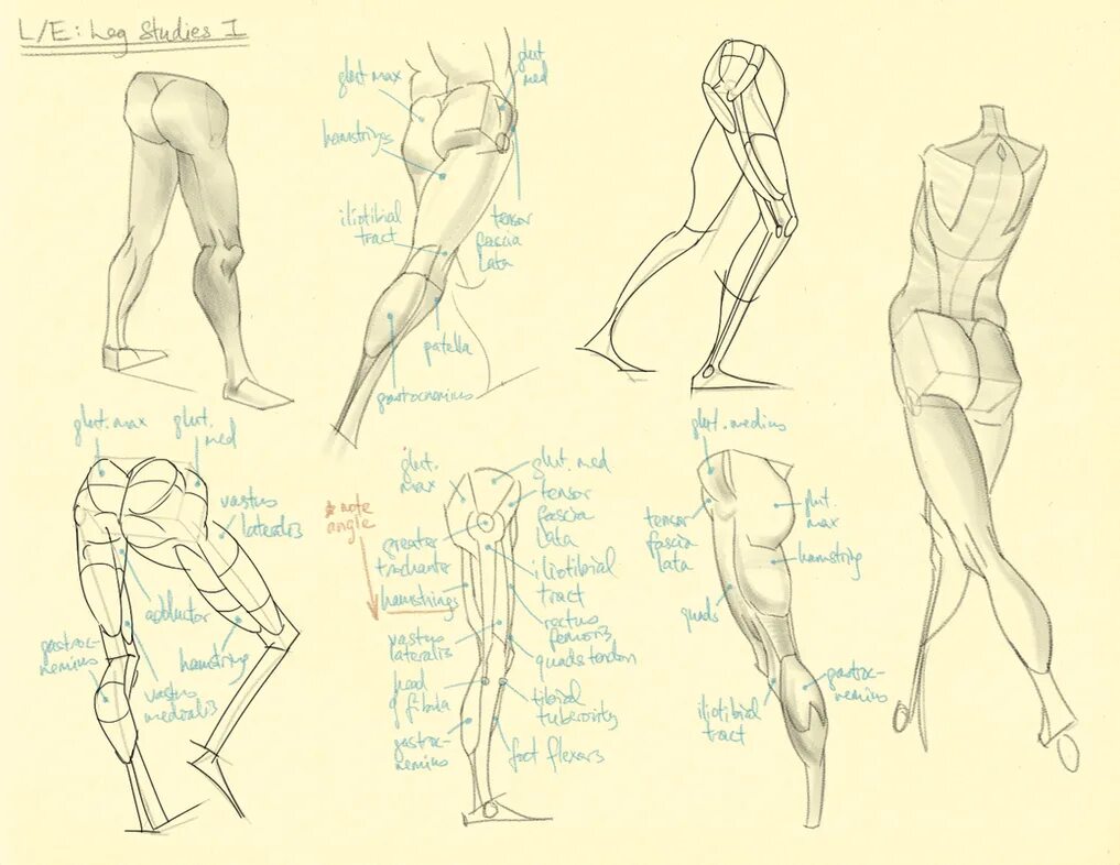 Reference limits. Reference limits