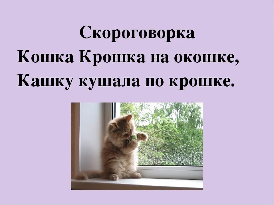 Скороговорка кота васьки 1 класс. Скороговорки про животных. Скороговорка про кошку. Скороговорка кошка кошка на окошке. Скороговорки про котят.