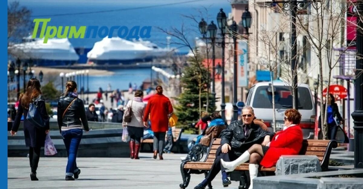 Владивосток климат. Ветер во Владивостоке. Владивосток сегодня фото погода. Владивосток погода фото. Владивосток климат зимой