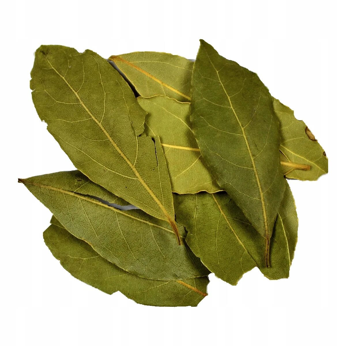 Лавровый лист. Листья лавра благородного. Лавровый лист orient 5 г. Листья лавра. Листья лавра.