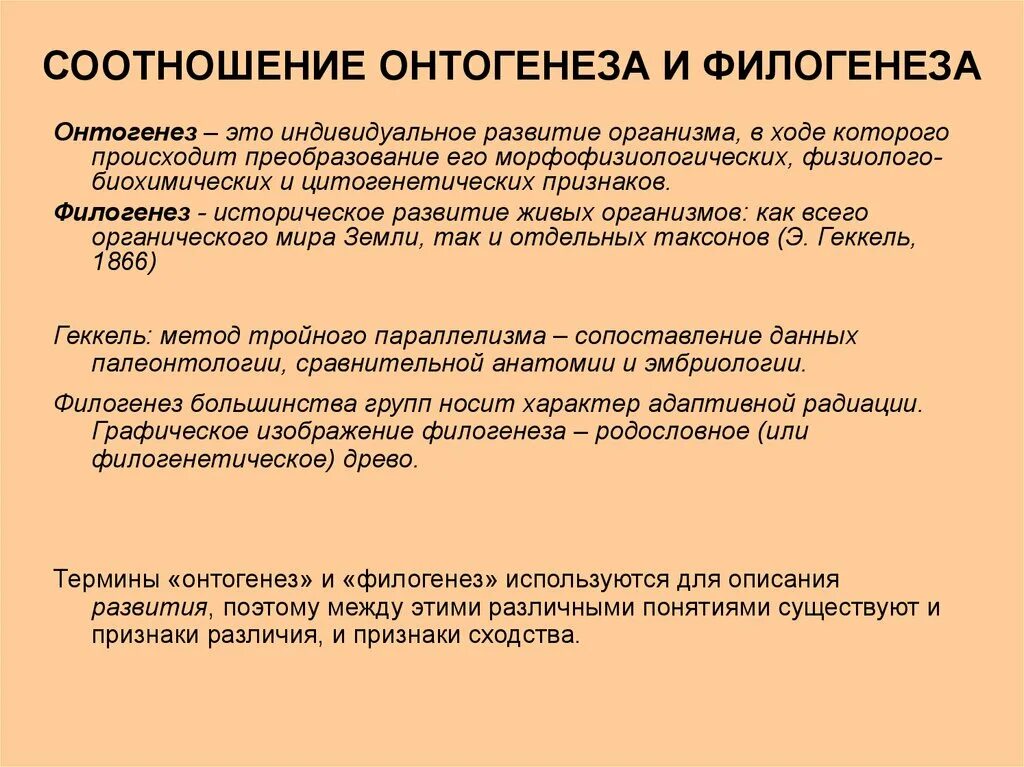 Развитие отличают. Понятие об онтогенезе и филогенезе связь онтогенеза. Соотношение онтогенеза и филогенеза. Взаимосвязь онтогенеза и филогенеза. Этапов онтогенеза и филогенеза..