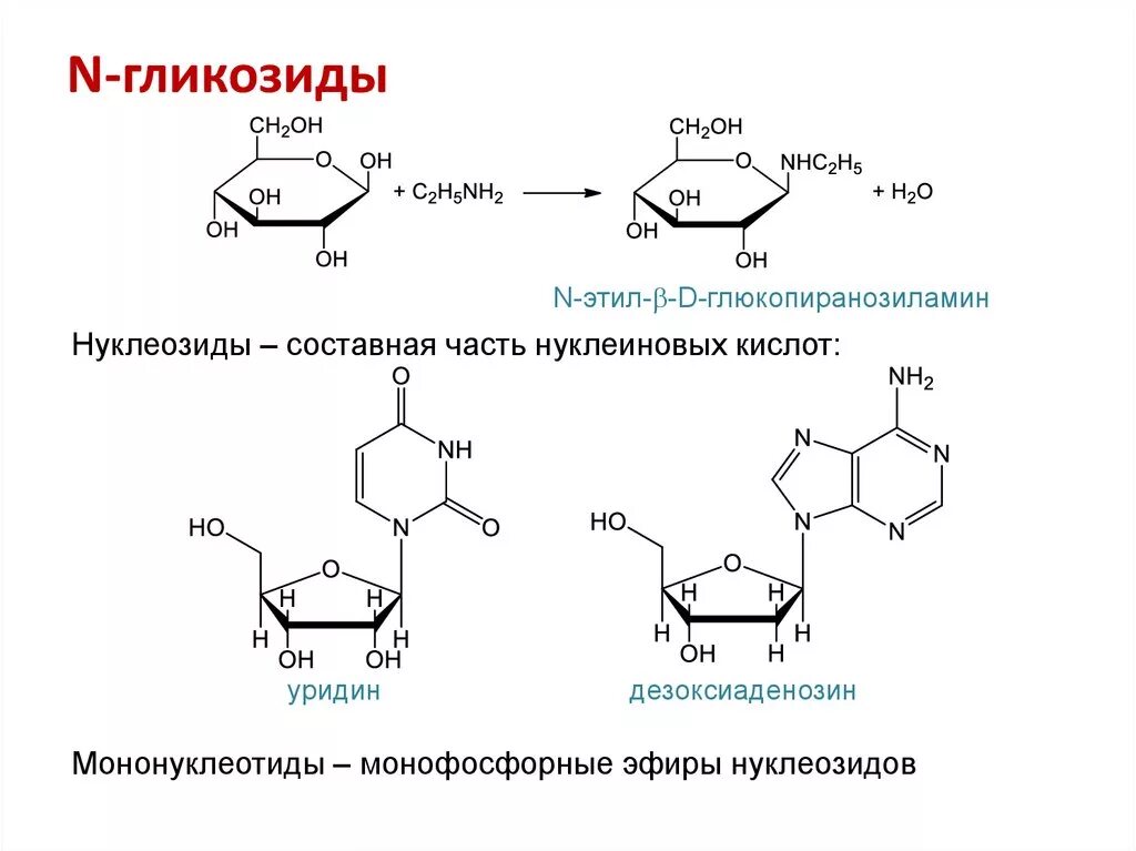 Растение гидролиз. Образование n гликозидов из Глюкозы. Образование о- и n-гликозидов моносахаридов. Реакция образования гликозидов. Гидролиз n гликозидов.