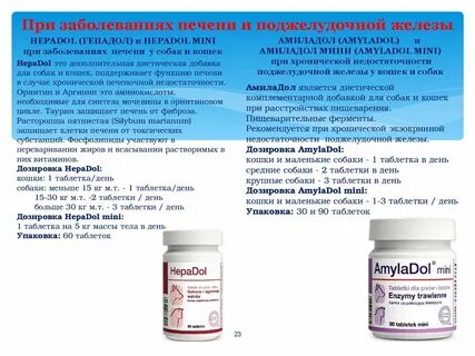 Какие лекарства помогает поджелудочной железе