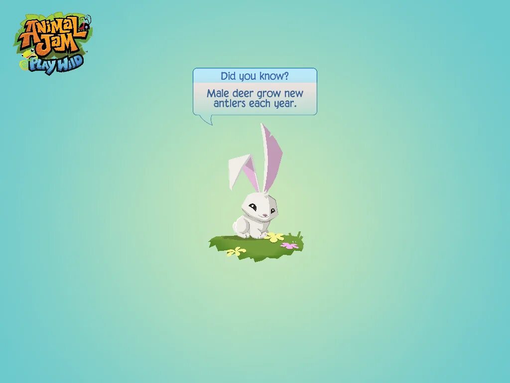 Animal jam wild