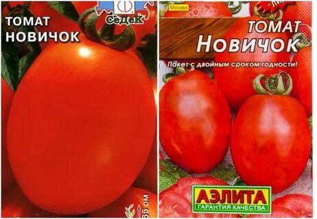 Новичок томаты урожайность