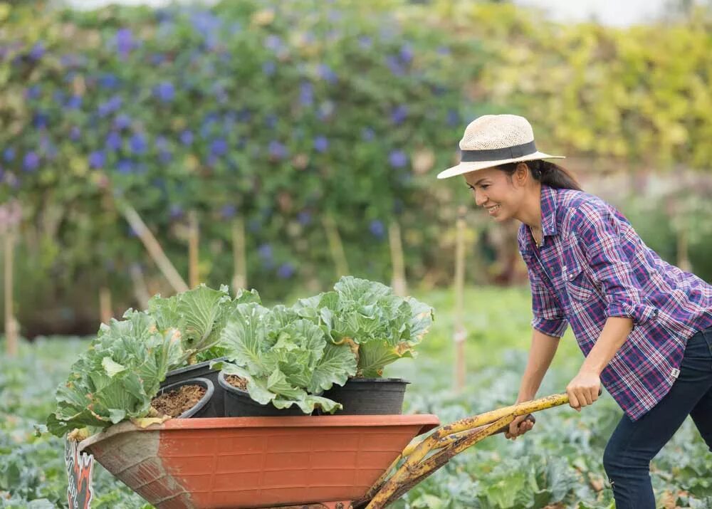 Бизнес на селе. Летний бизнес в деревне. Вячеслав горелов школа фермеров. Бизнес идеи для села. Современное сельское хозяйство.