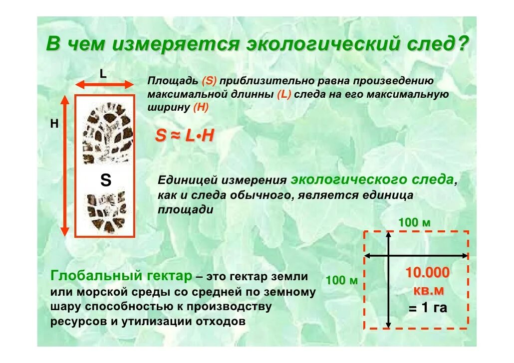 Экологический след человека кратко. Формула расчета экологического следа. В чём измеряется экологический след. Экологический след стран. Эколог след