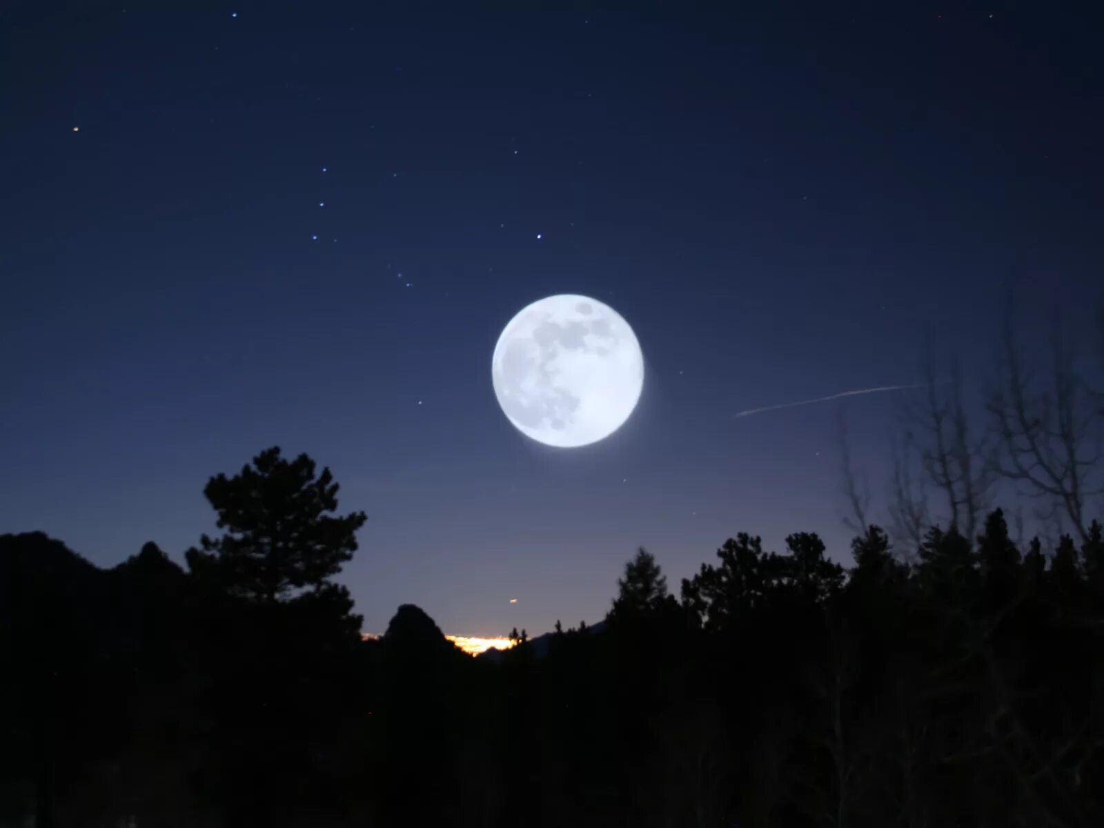 Luna net