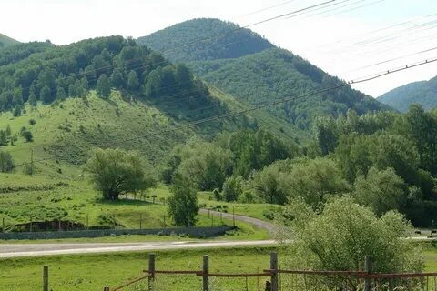 Авито с алтайское алтайский край