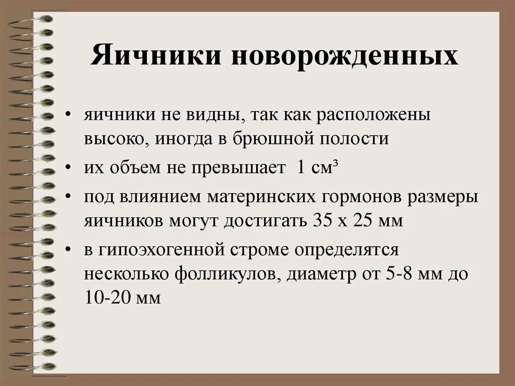 Яичники новорожденных