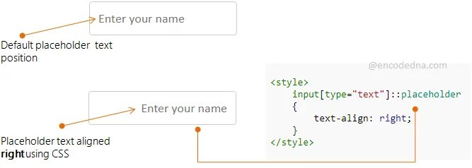 Input type text style. Плейсхолдер html. атрибут placeholder html. плейсхолдер для текста. placeholder input.
