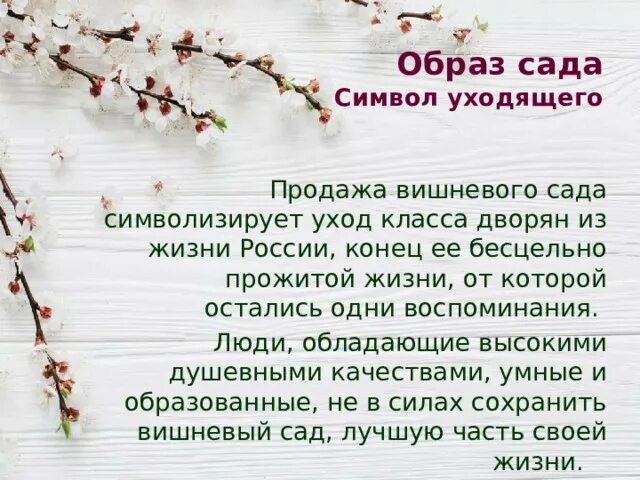 Что случилось с вишневым садом