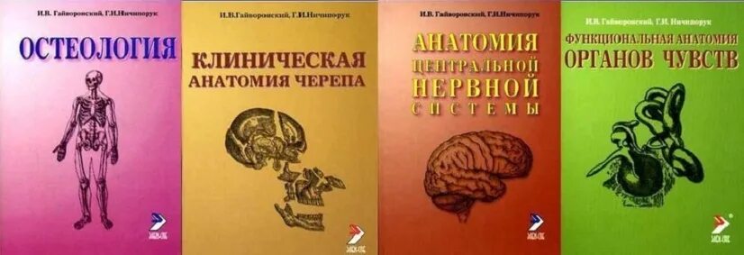 Гайворонский функциональная анатомия пищеварительной. Гайворонский органы чувств. Гайворонский анатомия методички. Методичка гайворонского ангиология. Гайворонский методичка.