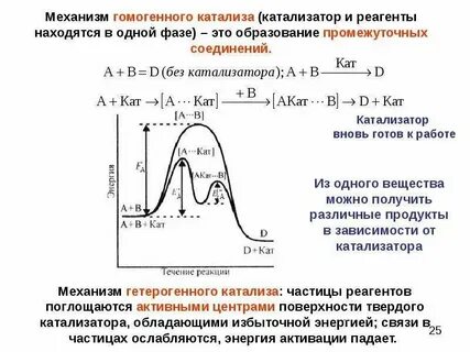 Механизм действия катализаторов в химических реакциях