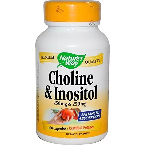 Холин капсулы купить. Choline & Inositol Холин инозитол. Инозитол 250 250 мг Холин. Nature-s-way-Choline-Inositol-500-MG-100-Capsules. Now Choline & Inositol 250/250 MG 100 капс.