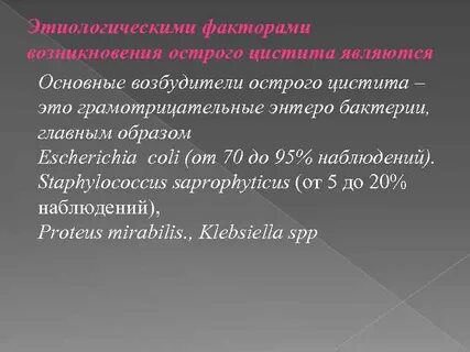 Возбудитель цистита