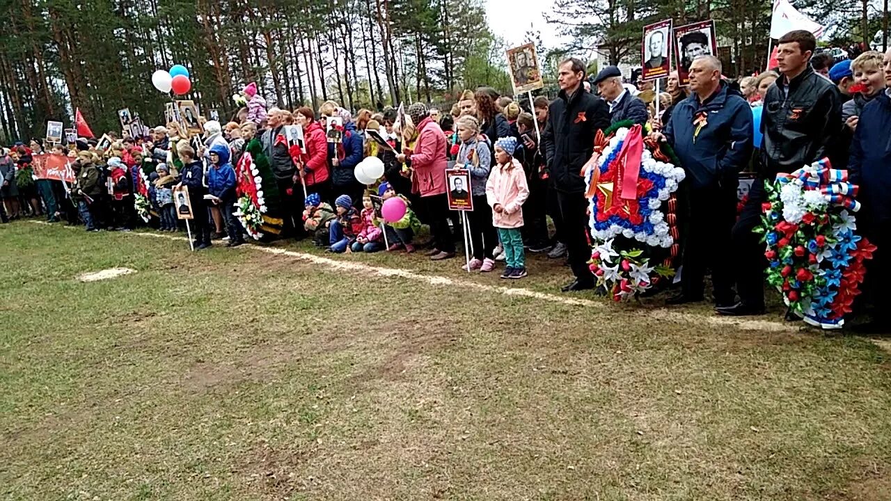 9 Мая Хвойная Новгородская область. Хвойная Новгородская область 2022. Хвойная Новгородская область 2023. Кладбище в Хвойной Новгородской области.