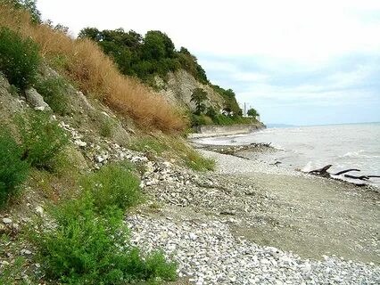 Вишневка