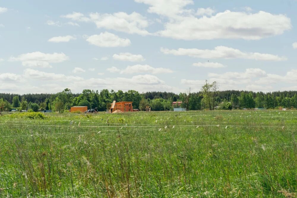 Ульяновка ленинградская область купить. КП Ульяновка. Ульяновка (Ленинградская область). Ульяновка лен обл есть лес. Ульяновка лен обл есть лес в деревне.