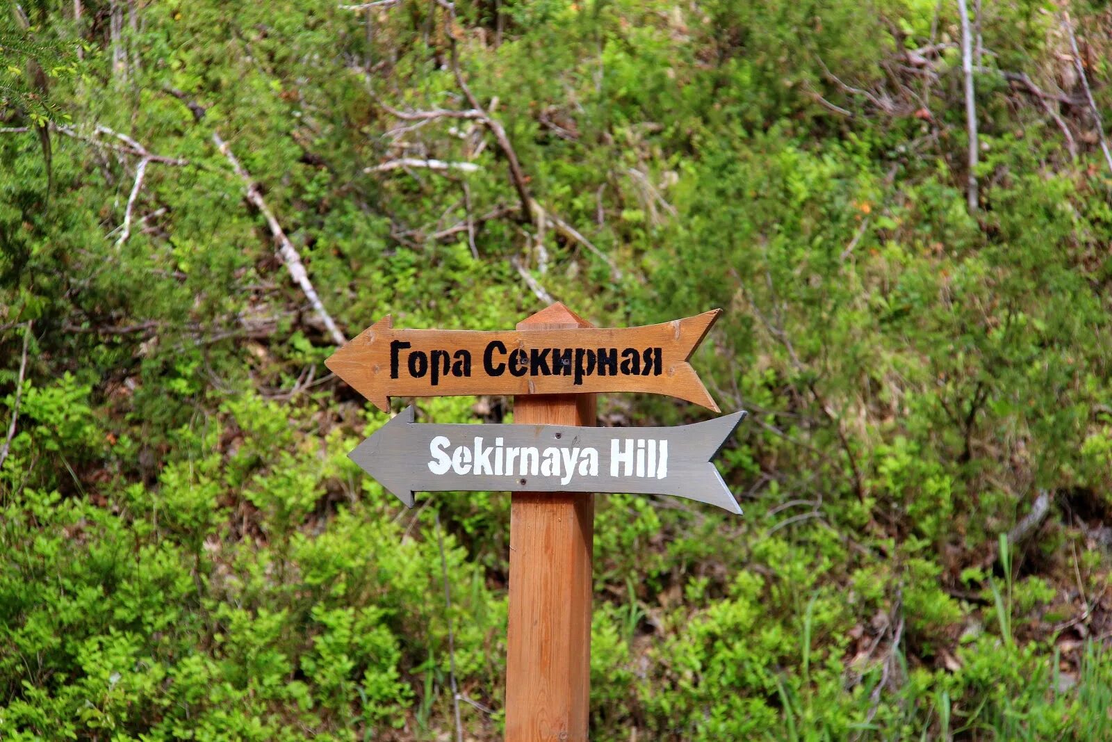 Секир гора. Гора секирная соловки. соловецкие острова гора секирная. секирная гора соловки соловки. секирная гора на соловках.