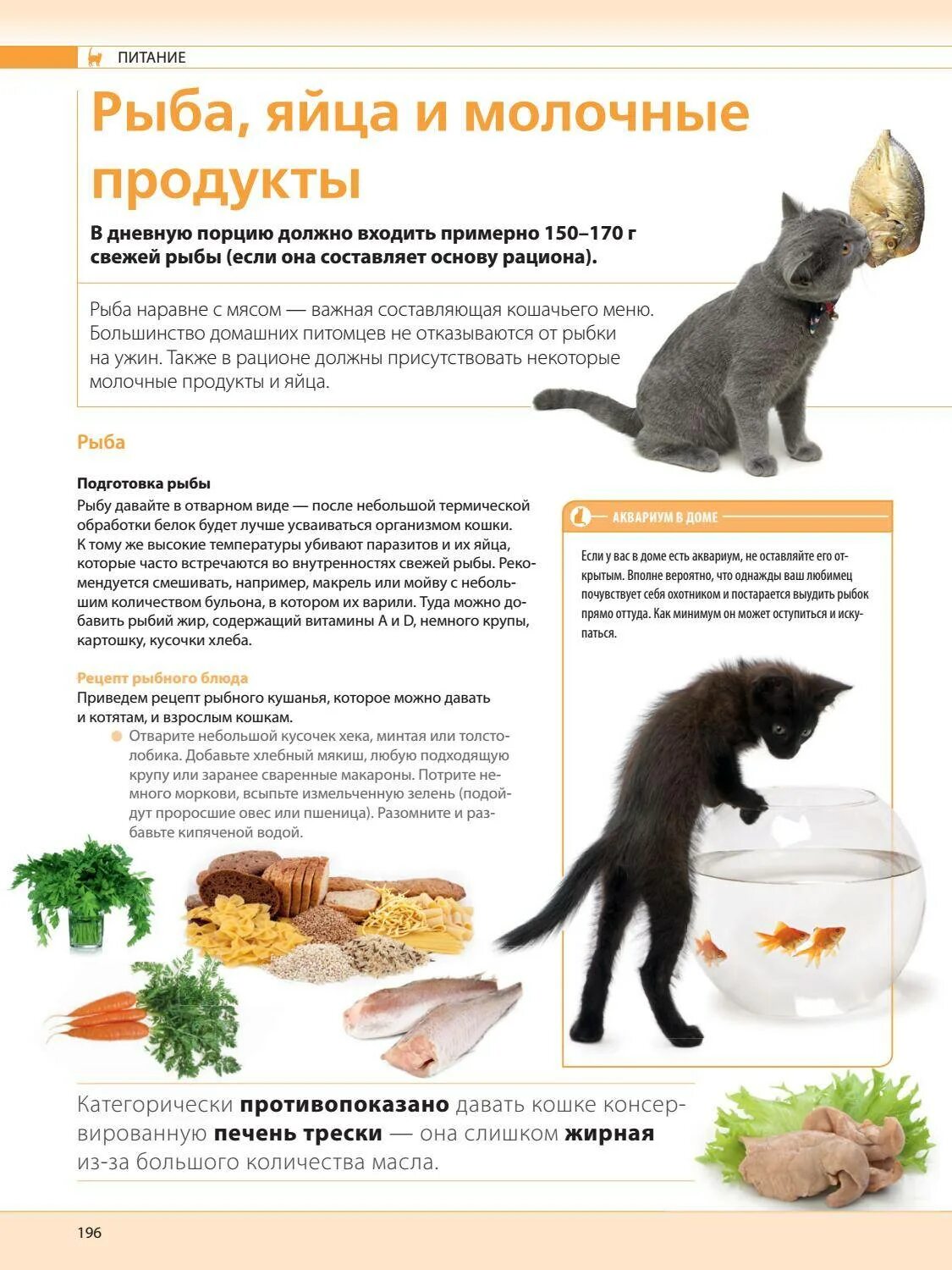 Рацион кошки. Натуральное питание для котят. Рацион еды для кошек. Правильное питание для котов и кошек. Можно ли кормить кота только сухим