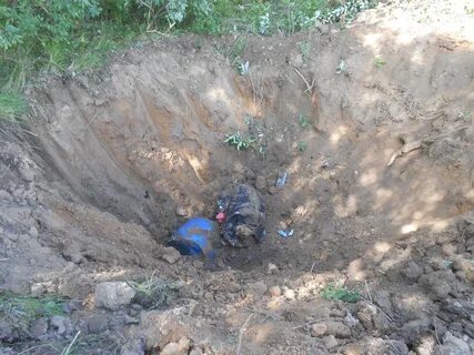Природопользование ярославская область