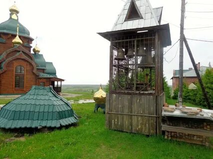 Туринск животные