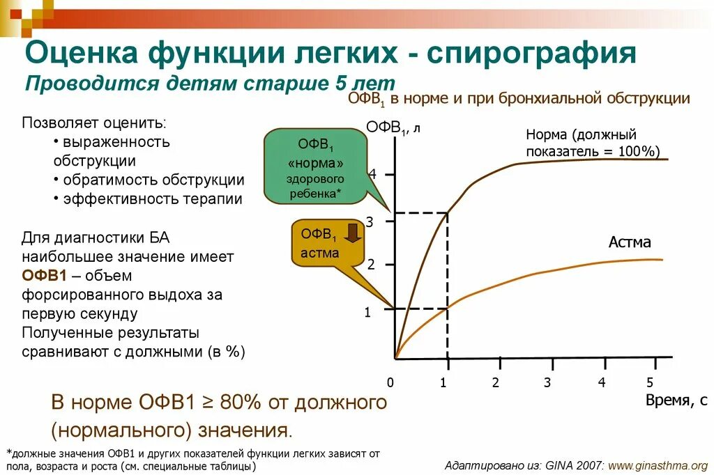 Данные спирографии