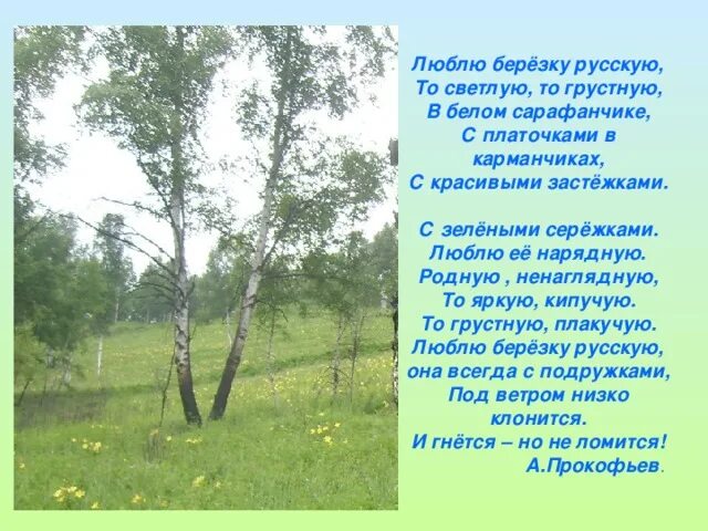То светлую то грустную. То светлую то грустную. Стихотворение есенина люблю березку русскую. То светлую то грустную. Прокофьева люблю березку русскую.