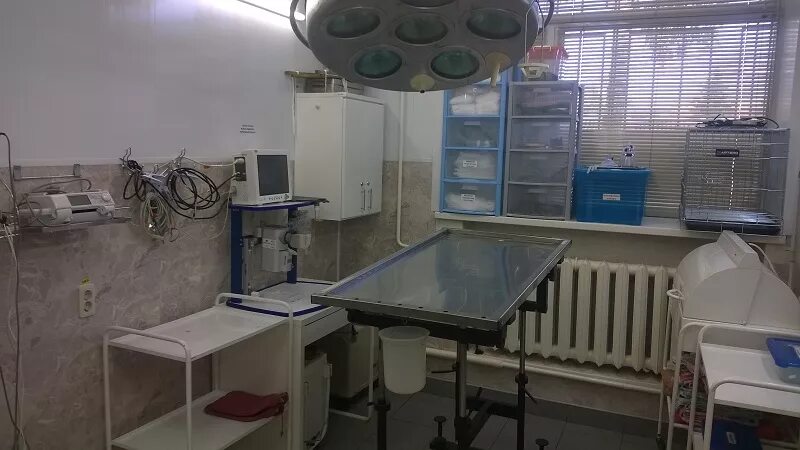 Ветклиника дуброво. Регистратор ветклиники. Добровет омулевского. Ветеринарная клиника добровет 24 иркутск. Мяулай ветклиника отзывы.