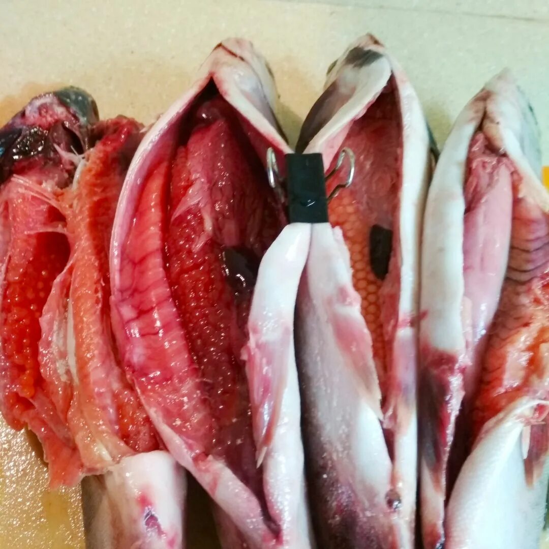 Суповой набор из горбуши. Горбуша для ухи набор. Горбуша белая. Красная рыба с мелкой чешуей. Хвосты кеты горячего копчения.