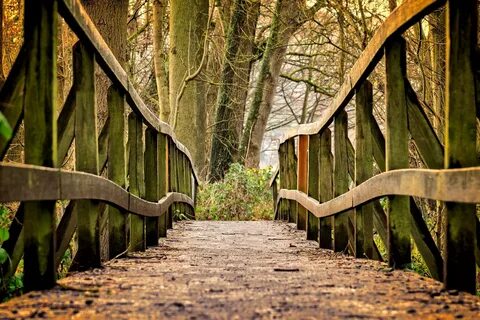 Unique paths