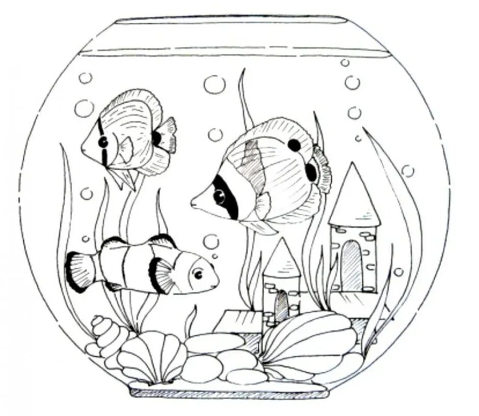 Раскраска аквариум с рыбками. Аквариум раскраска. Аквариум с рыбками для раскрашивания. Аквариумные рыбки раскраска для детей. Раскраска аквариум с рыбками для детей.