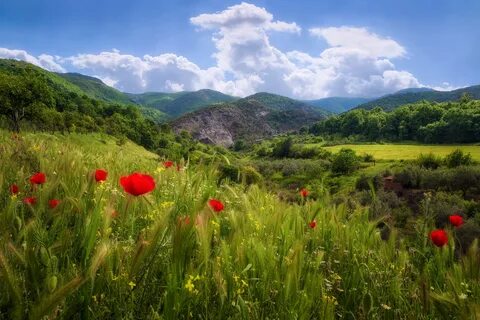Мак гора