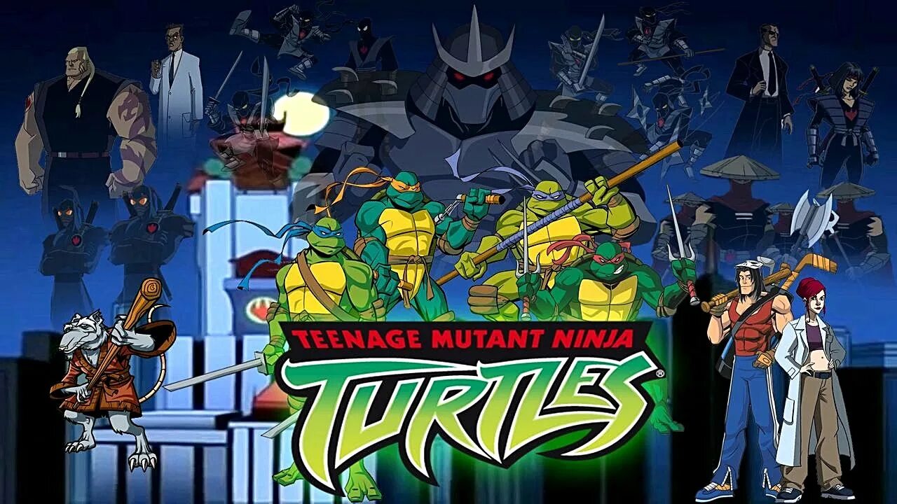 Turtles 2 in 1