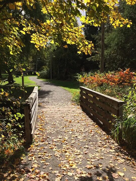 ✧--: *✧--:* ✧*:--✧ on Twitter Autumn scenery, Autumn photography, Fall pictures